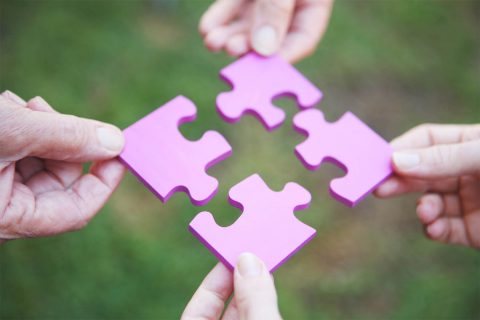 Kısa Süreli Gelişim Odaklı Destek